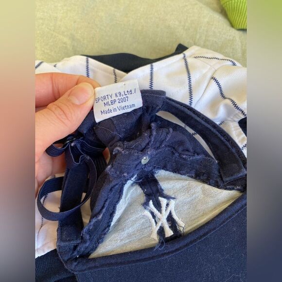 Set of Small Dog/Cat Costumes & Outfits - Picture 11 of 14